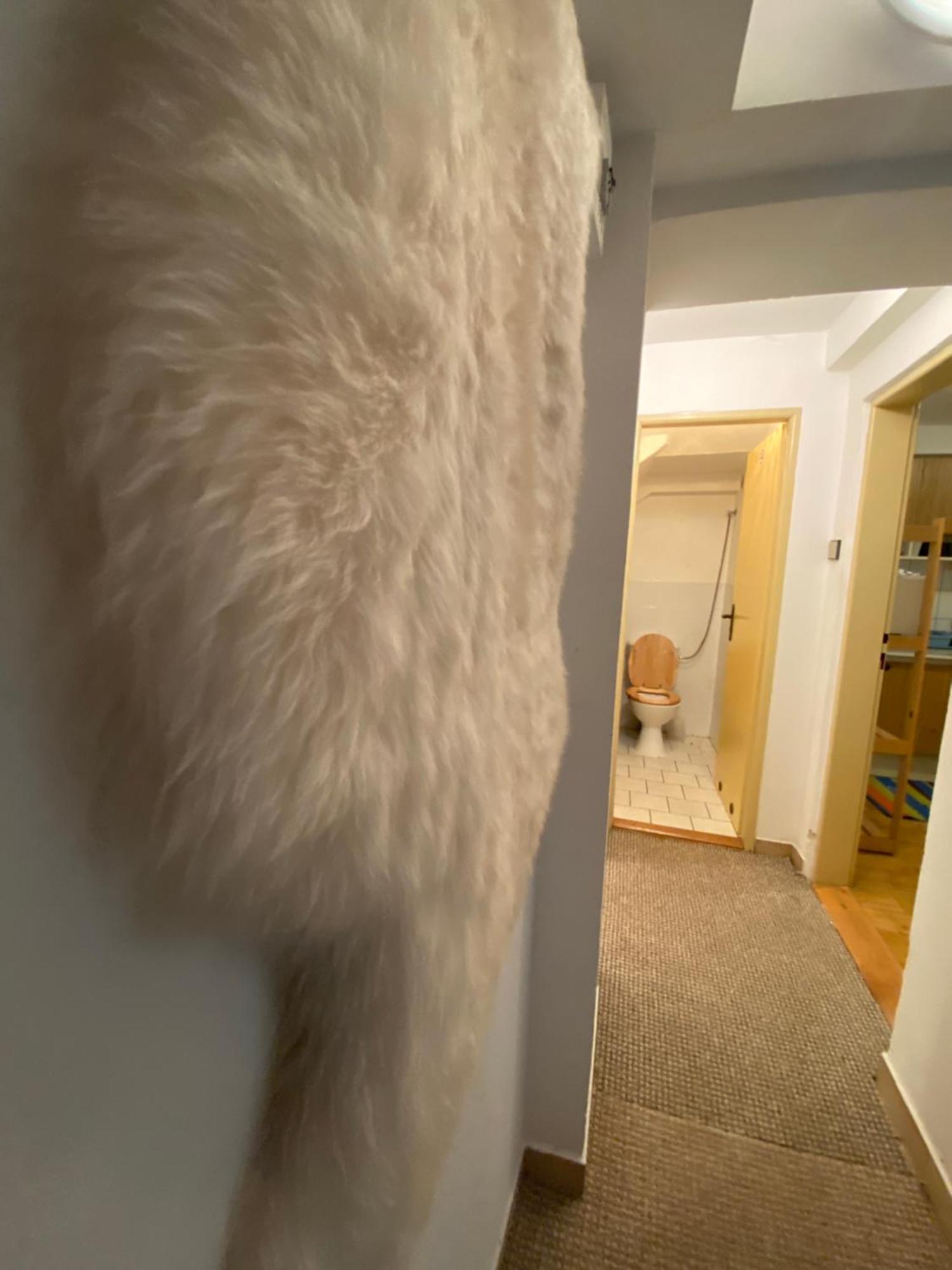 Samostatny Apartman Se Zahradou Bedřichov Exteriér fotografie